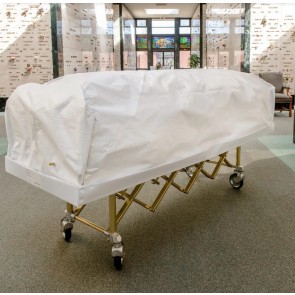 CASKET PROTECTOR/ENSURE-ASEAL/YTH 22X47