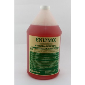 ENIGMA ARTERIAL