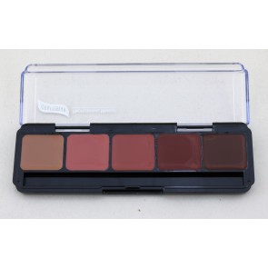 Fashion Lip Palette