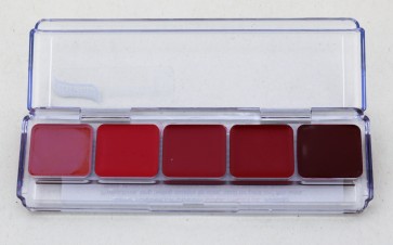 Palette Lip Pink Graftobian