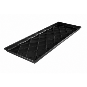 Mauso Tray